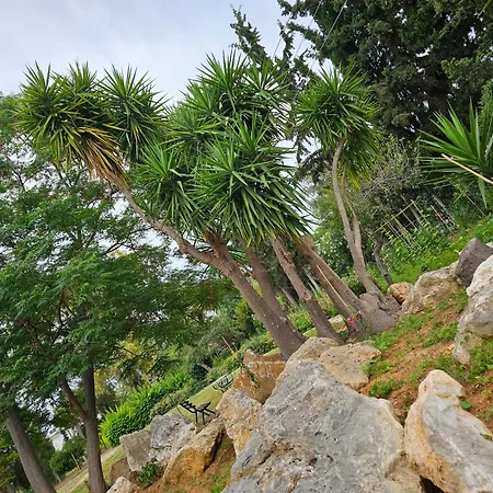 O Paradise And 5* Magoula (Evia)