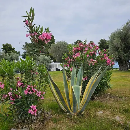 Hotel O Paradise And 5*