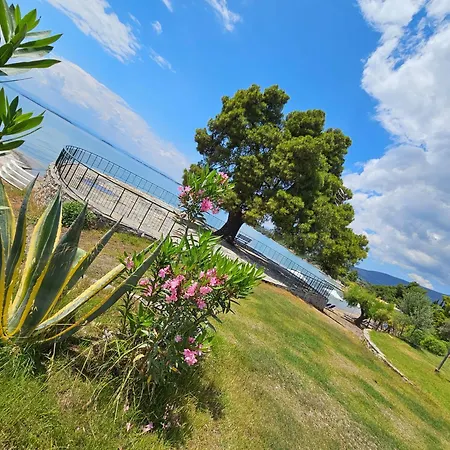 O Paradise And Hotel Magoula (Evia)