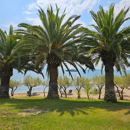 O Paradise And Magoula (Evia)