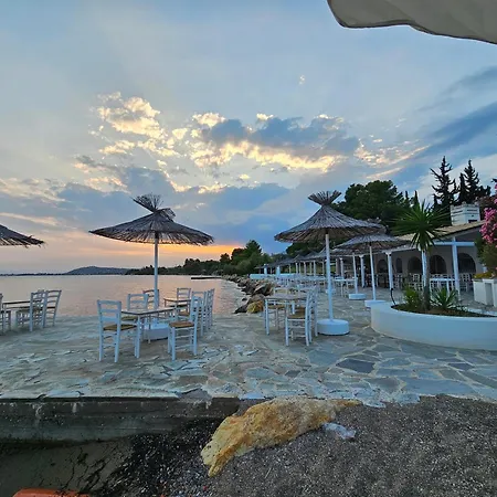 O Paradise And Hotel 5*