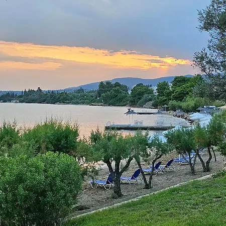 Hotel O Paradise And 5*