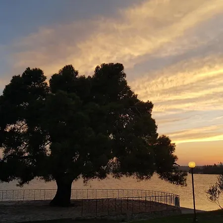 Hotel O Paradise And Magoula (Evia)