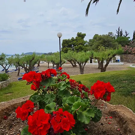 O Paradise And Magoula (Evia)