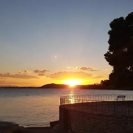 O Paradise And Hotel