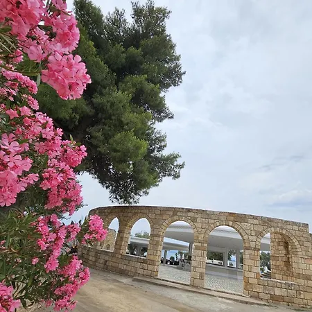 O Paradise And 5* Magoula (Evia)