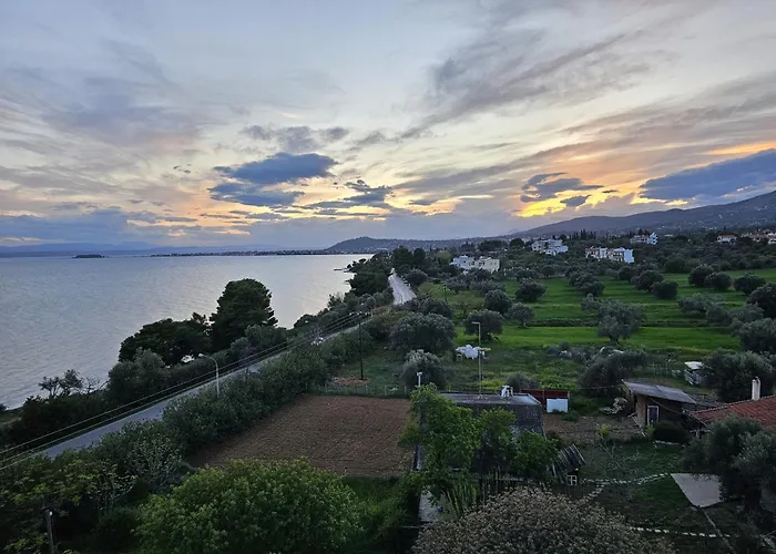 O Paradise And Ξενοδοχείο