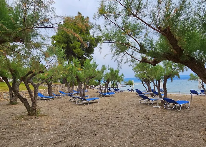 Ξενοδοχείο O Paradise And