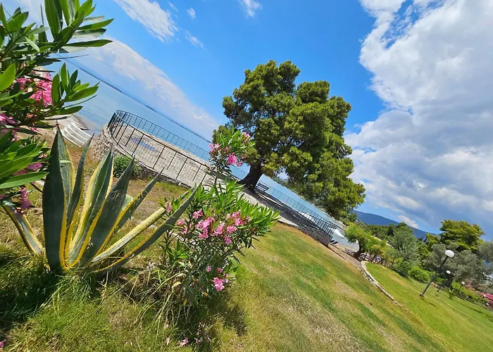 O Paradise And Ξενοδοχείο Μαγούλα