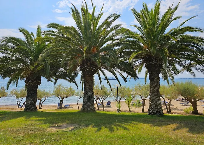 O Paradise And Μαγούλα