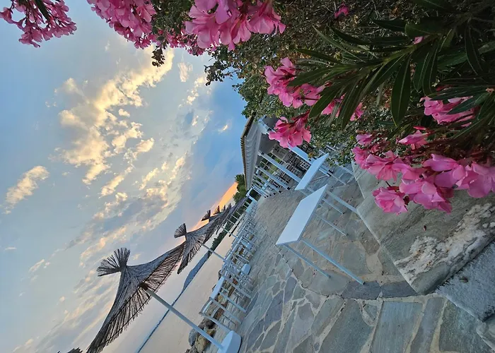 Ξενοδοχείο O Paradise And