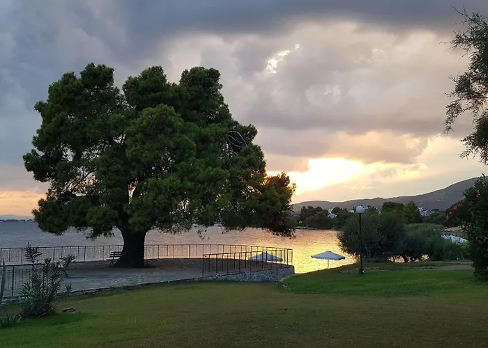 Ξενοδοχείο O Paradise And Μαγούλα