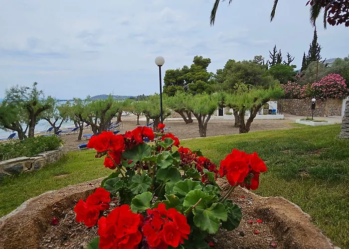 O Paradise And Μαγούλα