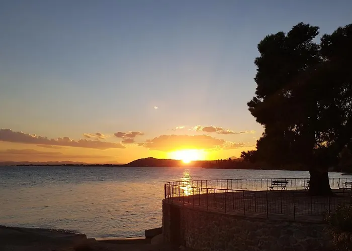 O Paradise And Ξενοδοχείο