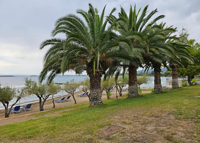 Ξενοδοχείο O Paradise And 5*